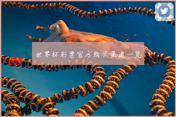 世界杯彩票官方购买渠道一览