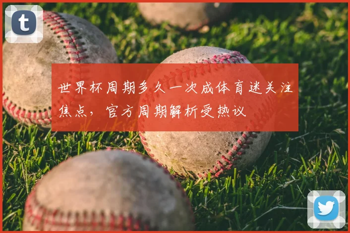 世界杯周期多久一次成体育迷关注焦点，官方周期解析受热议