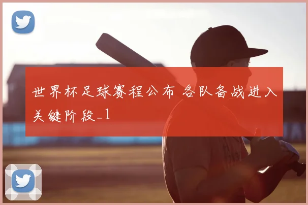 世界杯足球赛程公布 各队备战进入关键阶段_1