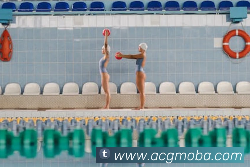 世界杯app官网服务体系